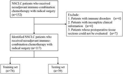 Combined inflammatory parameters and tertiary lymphoid structure predict prognosis in patients with resectable non-small cell lung cancer treated with neoadjuvant chemoimmunotherapy